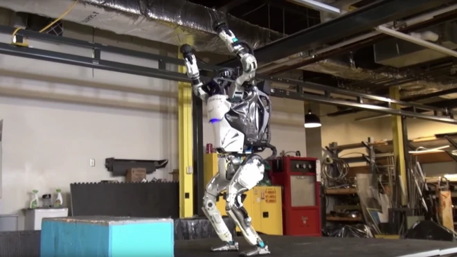 После удачного сальто Атлас победно поднимает руки