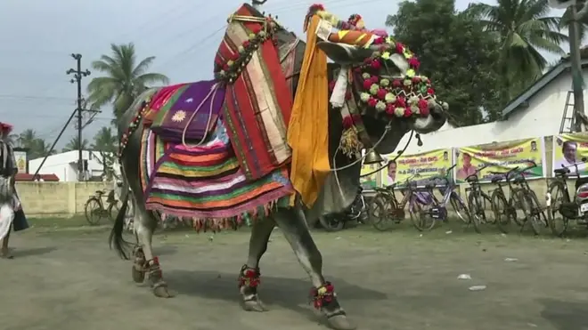 గంగిరెద్దులాట
