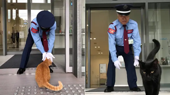 KEDİLER