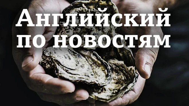 Заставка видео Lingohack (Английский по новостям) / Английский язык: уроки, аудио, видео, тесты Би-би-си