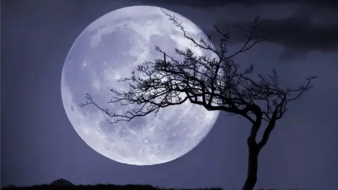 చంద్రుడు