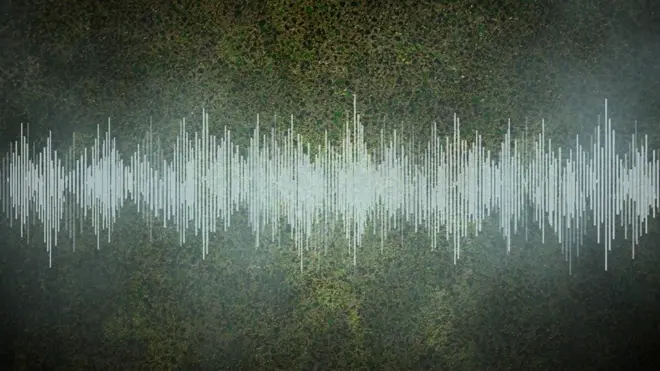 Onda de sonido