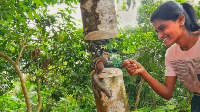 ගාල්ල, තලගස්පේ කනිෂ්ඨ විද්‍යාලයෙන් සහ බටපොල මධ්‍ය මහා විද්‍යාලයෙන් අධ්‍යාපනය ලැබූ ශෂින්තා දිල්හානි සෞන්දර්ය කලා විශ්වවිද්‍යාලයේ උපාධිධාරිනියකි.