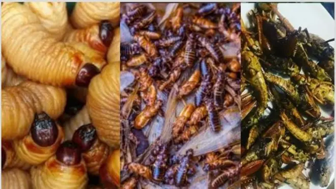 Akpa, akụ na ụkpana