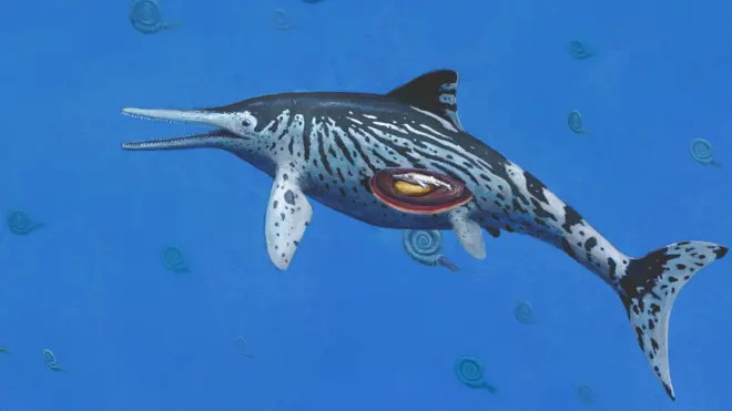 При жизни морской дракон выглядел примерно так