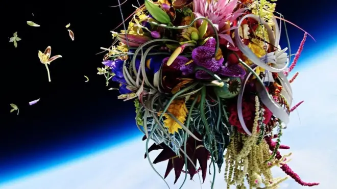 Квіти в космосі