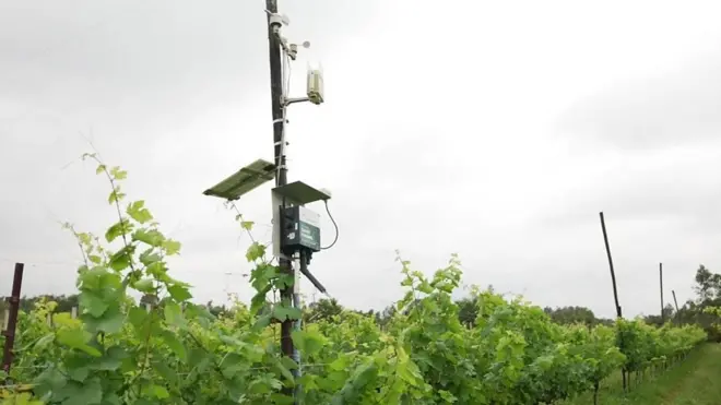 सांकेतिक