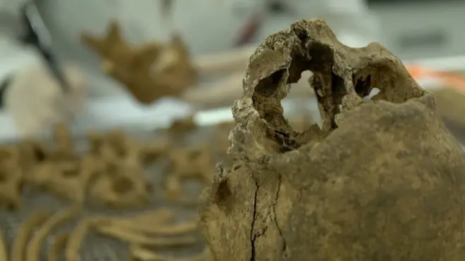 유해발굴감식단 중앙감식소에서 조사 중인 6.25 참전 국군 유해