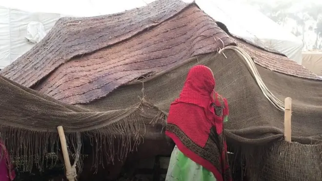 መርዓት ትግረ