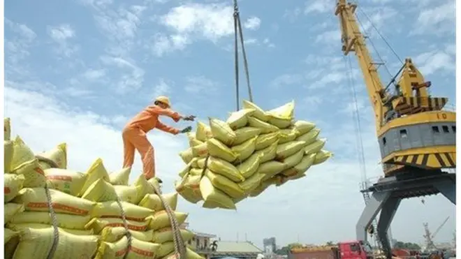 Hoạt động xuất khẩu gạo