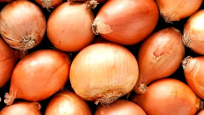 These onions were not flagged as risqué