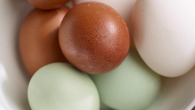 An egg a day appears to help young children grow taller