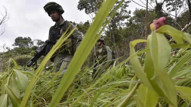 El departamento del Guaviare es uno de los focos de mayor cultivo de hoja de coca en Colombia.