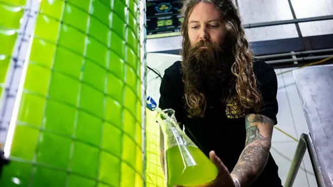 Крафтовая пивоварня