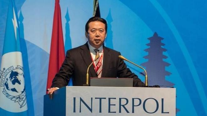 去年国际刑警组织选出中国公安部副部长孟宏伟当主席