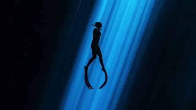 Meksički podvodni svet