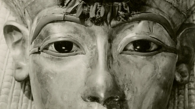 Garland of cornflowers and olives leaves on Tutankhamun's outer coffin