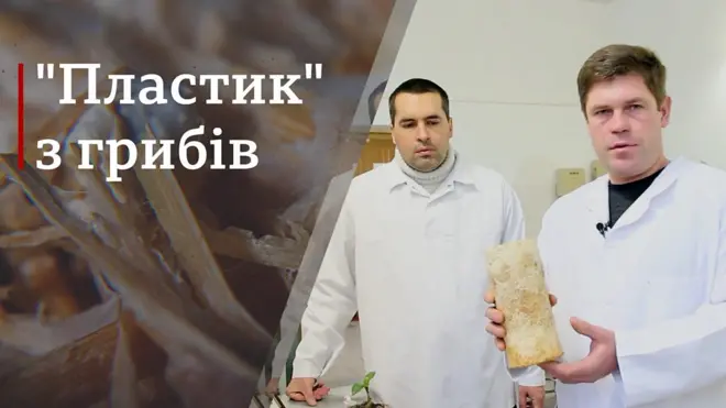 Вчені з Херсона винайшли заміну пластику з грибів