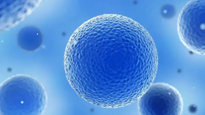 الخلايا المثيرة للجدل التي أنقذت حياة 10 ملايين شخص