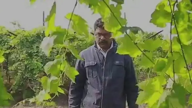 करोड़पति किसान