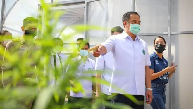 อนุทินตรวจเยี่ยมโครงการพัฒนาศูนย์เรียนรู้กัญชาทางการแพทย์ฯ เขตสุขภาพที่ 8 จ.บึงกาฬ วิสาหกิจชุมชน เกษตรอินทรีย์และแปรรูปสมุนไพร ต.โนนสมบูรณ์ อ.เมือง จ.บึงกาฬ เมื่อวันที่ 6 ต.ค.