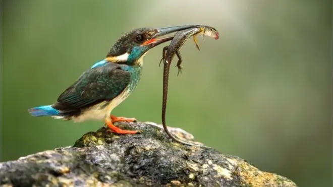 İklim değişikliği