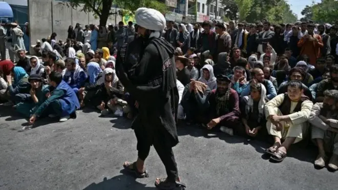 तालिबान