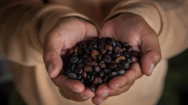 （图片来源：Getty Images）