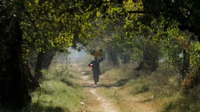 اسما د تېرې شنبې په ګهیځ له خپل کوره لادرکه شوې وه او د دوشنبې په ورځ د ګنیو پټي کې د هغې مړی وموندل شو.