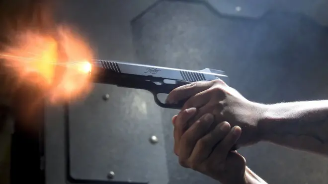 બંદૂકની તસવીર