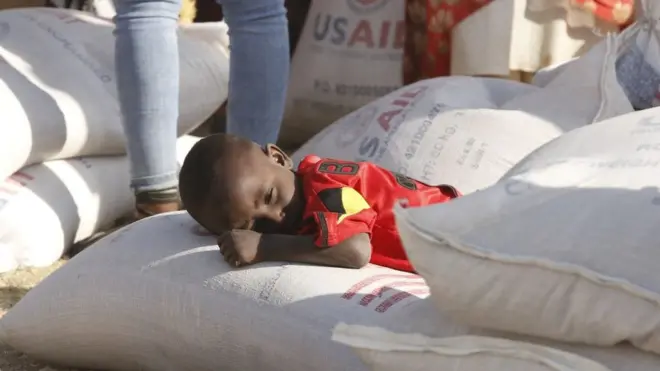 Daa'ima midhaan deeggarsaarra ciistee jirtu