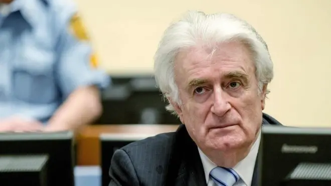 Радован Караджич на суде