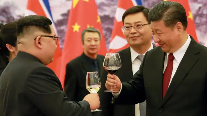 KIM/XI