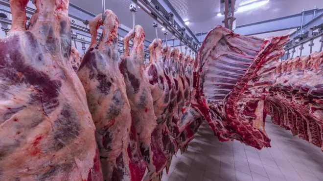 Produtos halal não podem ter vestígiosonabet sd 15 mlitens proibidos aos muçulmanos, como álcool, carneonabet sd 15 mlporco e seus derivados