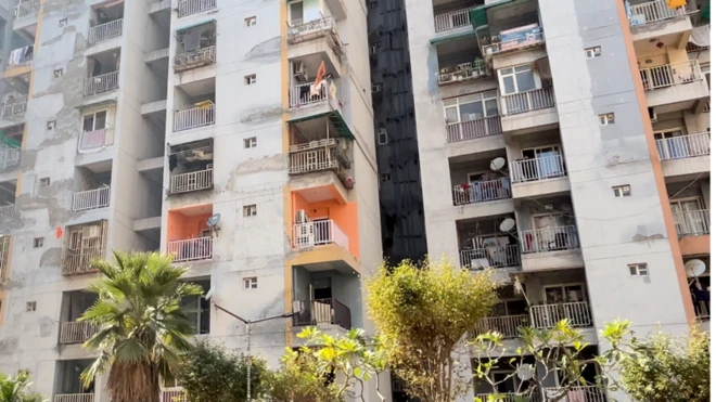 దిల్లీ, కొరియన్ డ్రామా, కే సిరీస్, వ్యసనం, 