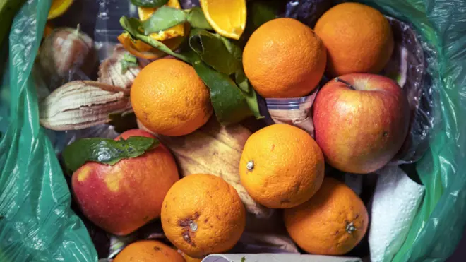 çöpe atılmış meyveler