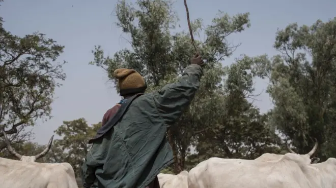 Nsogbu Fulani na-achị ehi na ndị ọrụ ugbo atala isi ọtụtụ ndị mmadụ na Naijiria