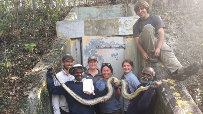 马西‧萨戴安和瓦迪韦尔‧戈帕尔目前已在美国抓了27条蛇。