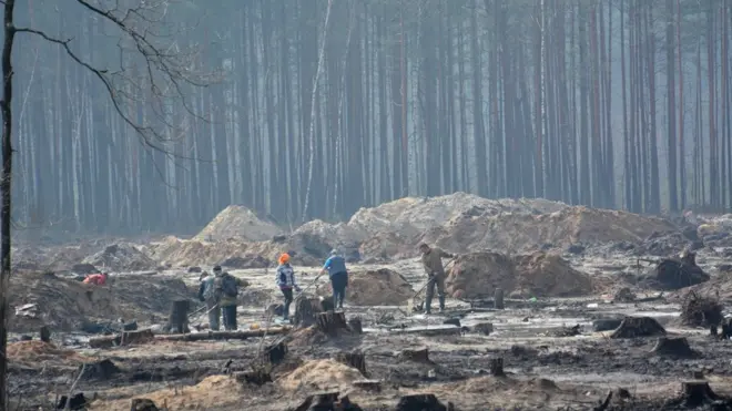 Ділянка нелегального видобутку бурштину