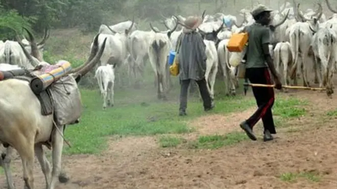 Darandaran ati maalu