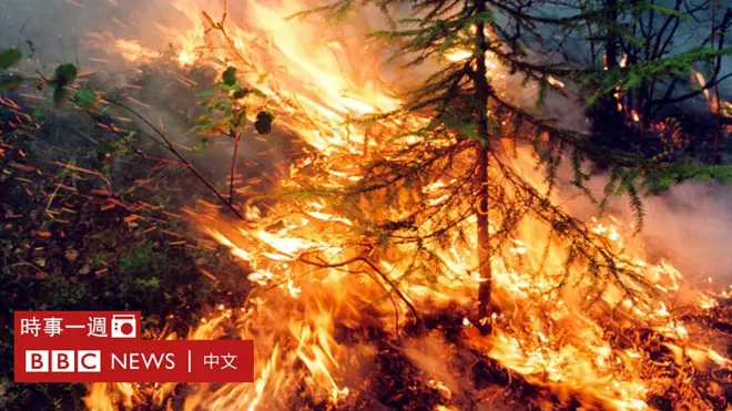 俄羅斯克拉斯諾亞爾斯克（Krasnoyarsk）森林大火現場（俄羅斯空中森林保護局提供圖片1/8/2019）