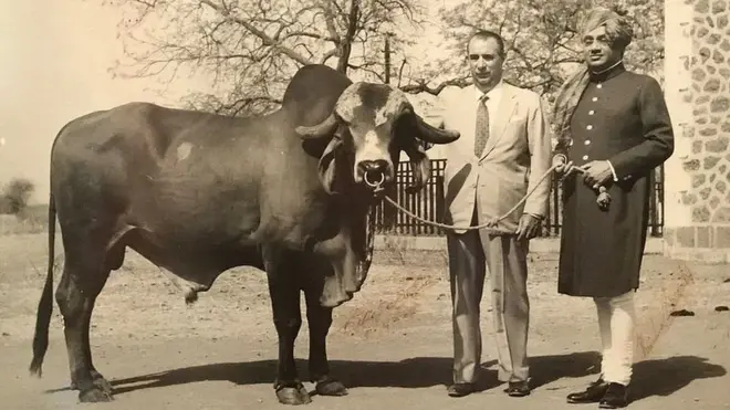 ક્રિષ્ના સાંઢને ભાવનગરથી બ્રાઝીલ લઈ જવાયો હતો