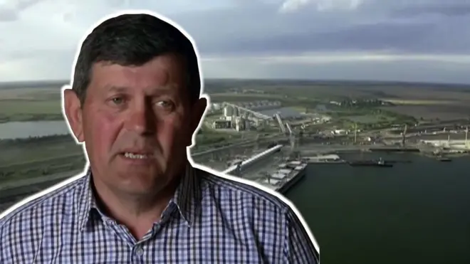 зерно, пшениця