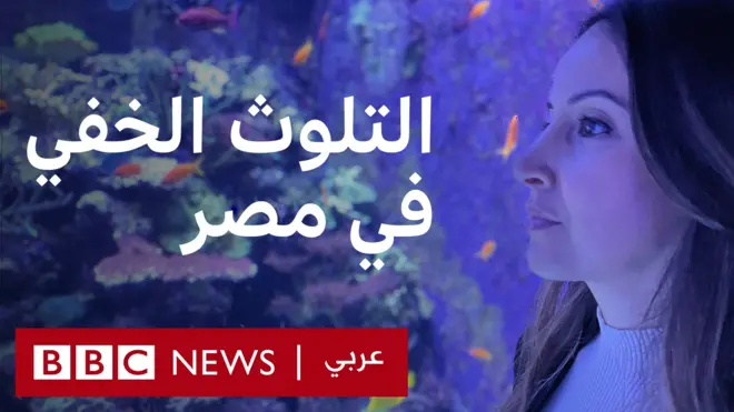 أثبتت الشعاب المرجانية في البحر الأحمر قدرتها على مقاومة درجات حرارة البحر المتزايدة-لكن بان يهددها تلوث صناعة النفط