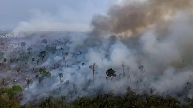 Само ове године изгорело је више од 62.000 квадратних километара амазонске прашуме