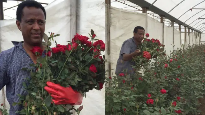 Ani yeroo baay'ee qonnaa abaaboo keessa yeroon hojjedhu haati manaan koo ammoo suuqii keessatti nagaddi