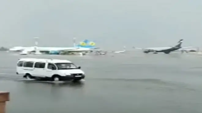 Тошкент қўналғаси