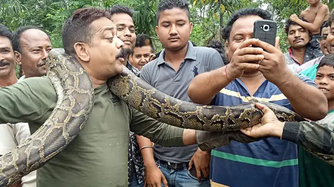 Sanjay Dutta sempat terlilit di bagian leher, sebelum warga desa di Bengala Barat beramai-ramai membantunya untuk meloloskan diri.