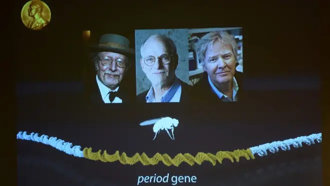 Премию присудили троим ученым, работавшим вместе