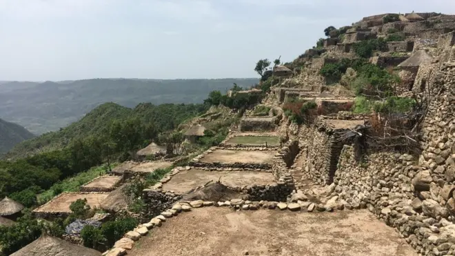 Shonkee--Mandara gaara gubbaa dhakaarraa ijaaramte